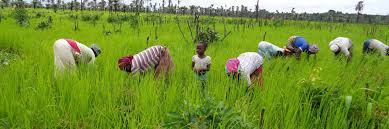 CANALLS et agro-ecologie
